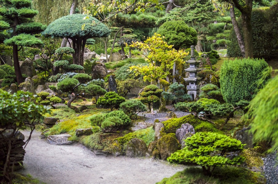 Aménagement déco extérieur : 5 astuces simples pour créer un jardin japonais